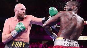 tyson fury net worth